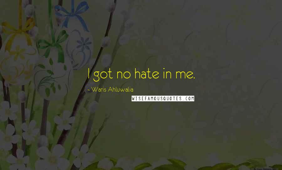 Waris Ahluwalia Quotes: I got no hate in me.