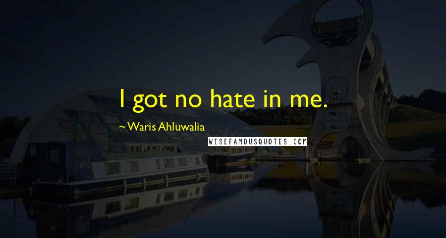 Waris Ahluwalia Quotes: I got no hate in me.