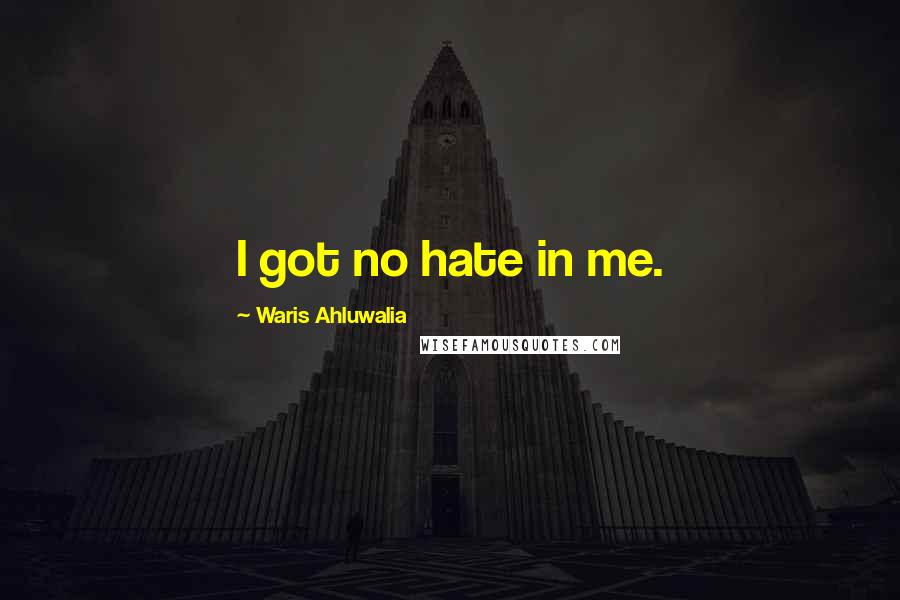 Waris Ahluwalia Quotes: I got no hate in me.