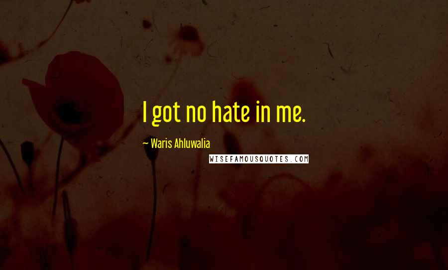 Waris Ahluwalia Quotes: I got no hate in me.