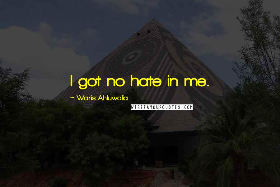 Waris Ahluwalia Quotes: I got no hate in me.