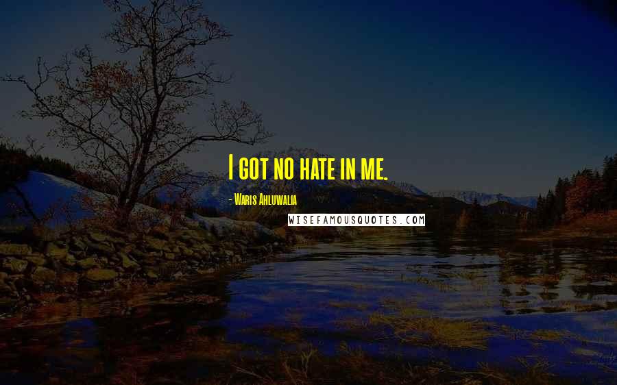 Waris Ahluwalia Quotes: I got no hate in me.