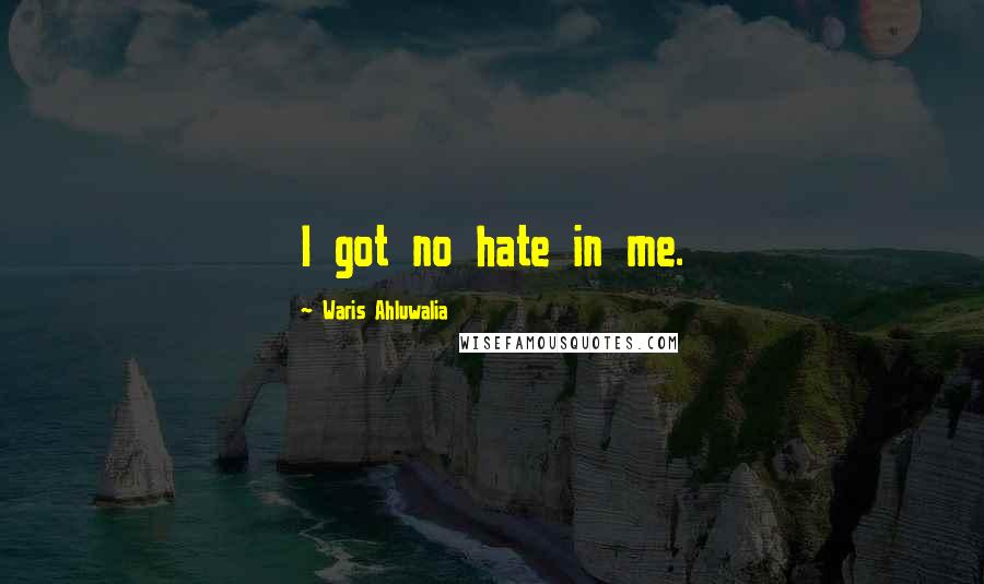 Waris Ahluwalia Quotes: I got no hate in me.