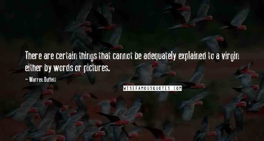 Warren Buffett Quotes: There are certain things that cannot be adequately explained to a virgin either by words or pictures.