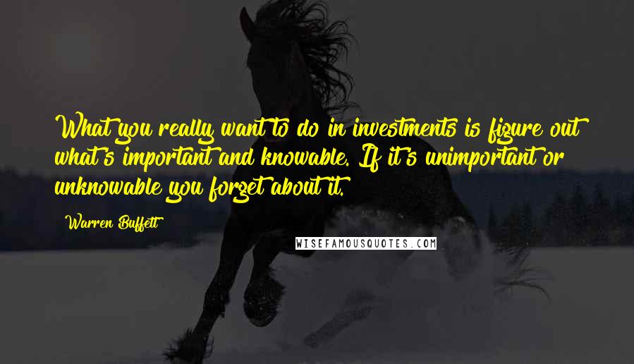 Warren Buffett Quotes: What you really want to do in investments is figure out what's important and knowable. If it's unimportant or unknowable you forget about it.