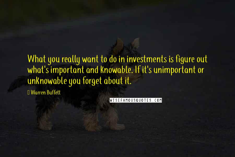 Warren Buffett Quotes: What you really want to do in investments is figure out what's important and knowable. If it's unimportant or unknowable you forget about it.