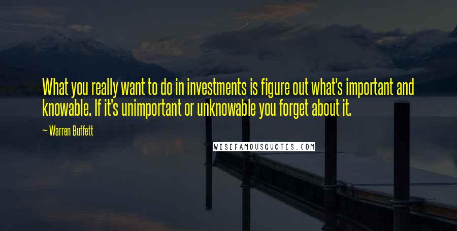 Warren Buffett Quotes: What you really want to do in investments is figure out what's important and knowable. If it's unimportant or unknowable you forget about it.