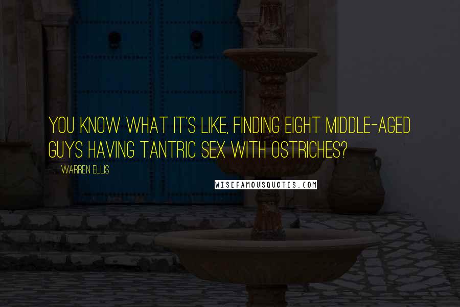 Warren Ellis Quotes: You know what it's like, finding eight middle-aged guys having tantric sex with ostriches?