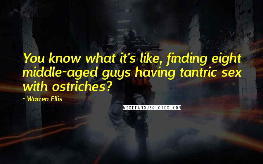 Warren Ellis Quotes: You know what it's like, finding eight middle-aged guys having tantric sex with ostriches?