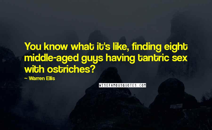 Warren Ellis Quotes: You know what it's like, finding eight middle-aged guys having tantric sex with ostriches?