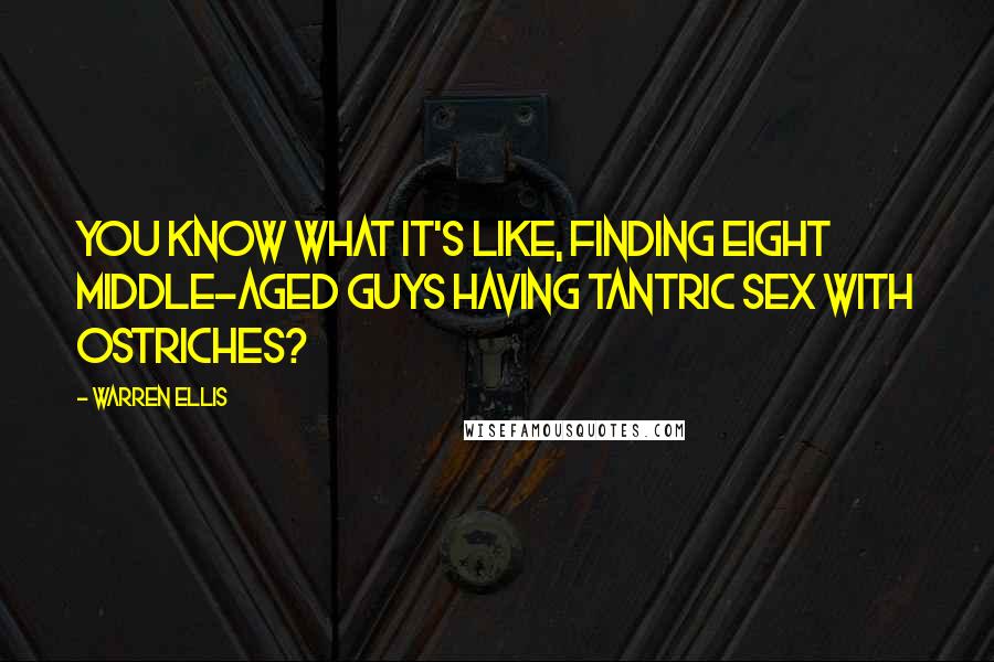 Warren Ellis Quotes: You know what it's like, finding eight middle-aged guys having tantric sex with ostriches?