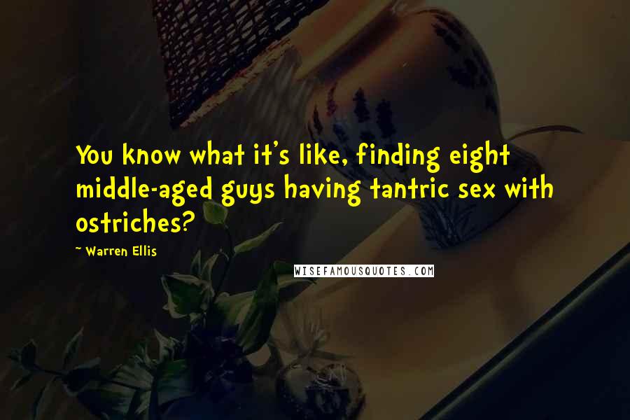 Warren Ellis Quotes: You know what it's like, finding eight middle-aged guys having tantric sex with ostriches?