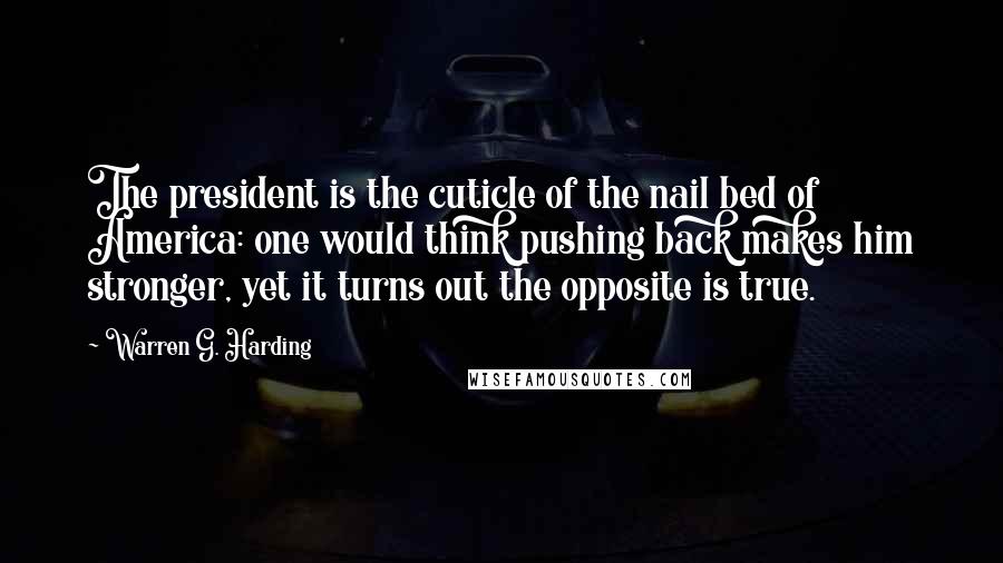 Warren G. Harding Quotes: The president is the cuticle of the nail bed of America: one would think pushing back makes him stronger, yet it turns out the opposite is true.