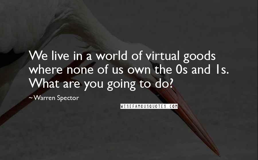 Warren Spector Quotes: We live in a world of virtual goods where none of us own the 0s and 1s. What are you going to do?