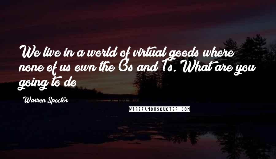 Warren Spector Quotes: We live in a world of virtual goods where none of us own the 0s and 1s. What are you going to do?