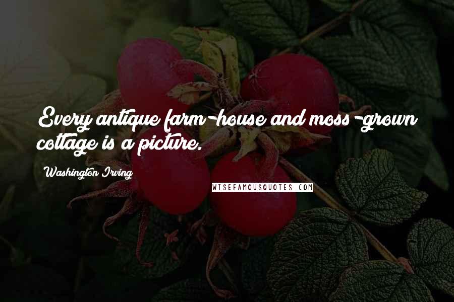 Washington Irving Quotes: Every antique farm-house and moss-grown cottage is a picture.