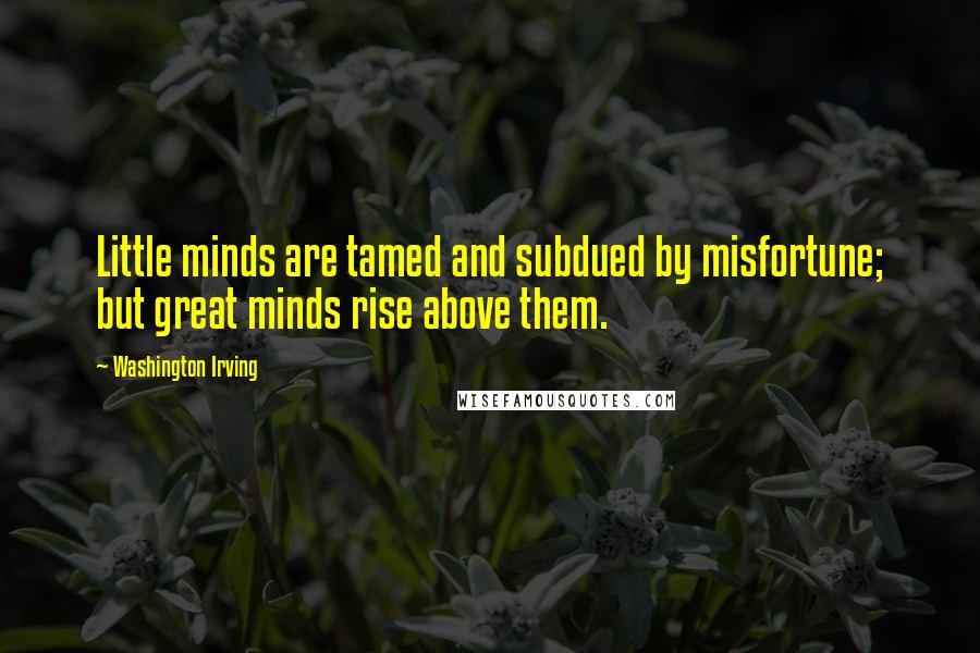 Washington Irving Quotes: Little minds are tamed and subdued by misfortune; but great minds rise above them.