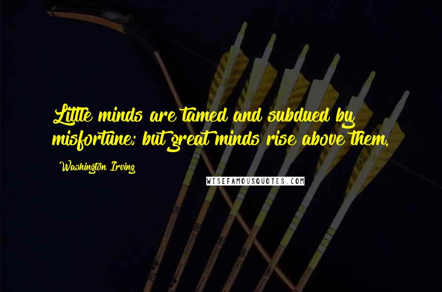 Washington Irving Quotes: Little minds are tamed and subdued by misfortune; but great minds rise above them.