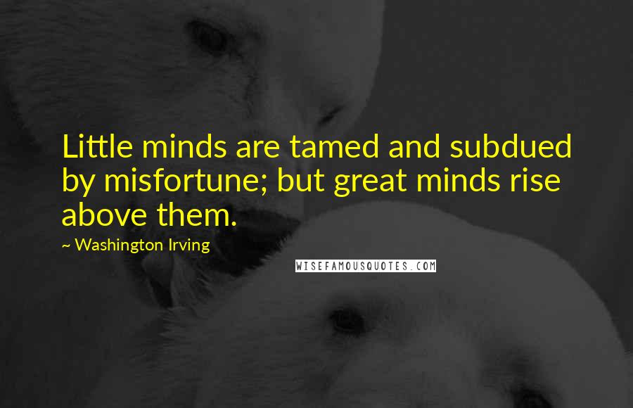 Washington Irving Quotes: Little minds are tamed and subdued by misfortune; but great minds rise above them.