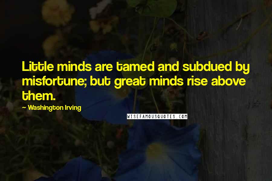 Washington Irving Quotes: Little minds are tamed and subdued by misfortune; but great minds rise above them.