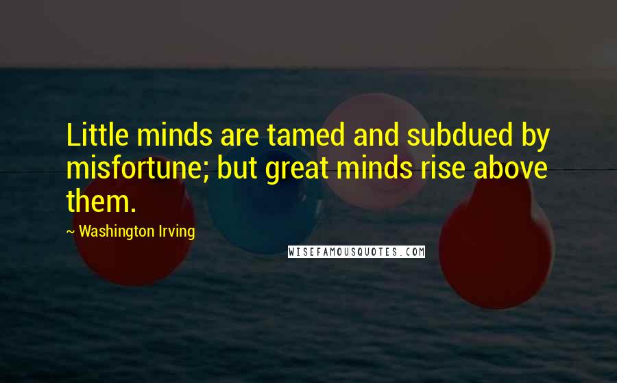 Washington Irving Quotes: Little minds are tamed and subdued by misfortune; but great minds rise above them.
