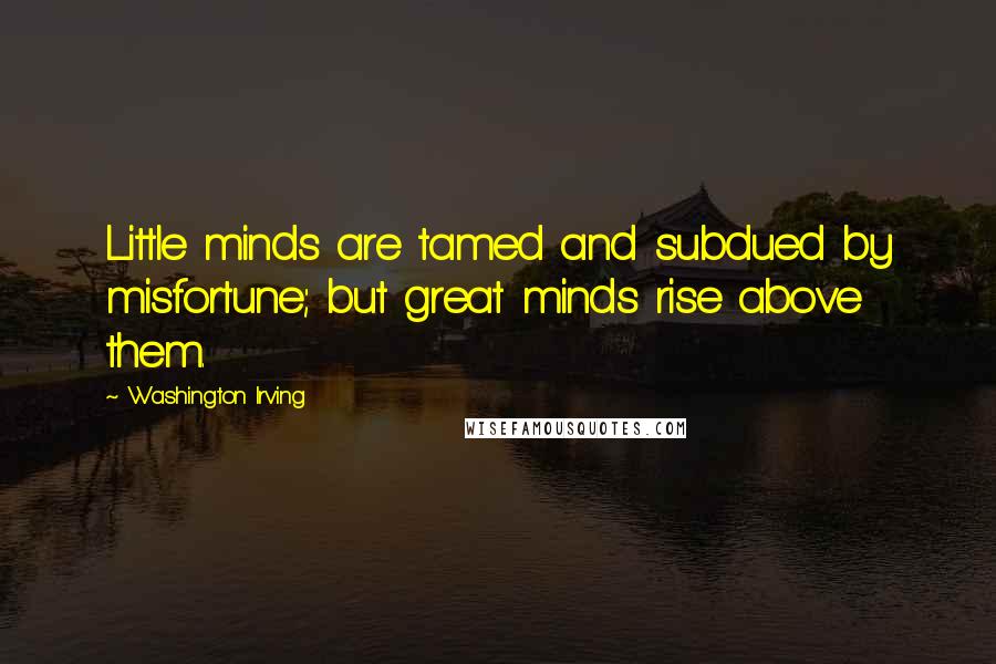 Washington Irving Quotes: Little minds are tamed and subdued by misfortune; but great minds rise above them.