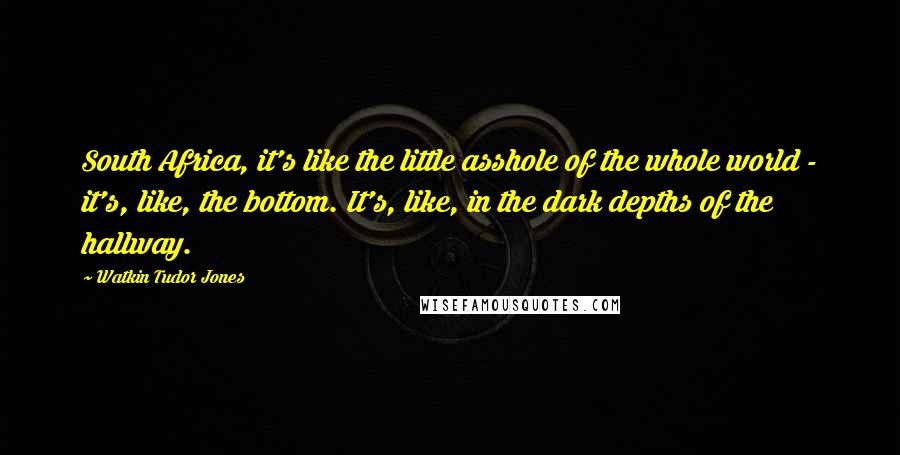 Watkin Tudor Jones Quotes: South Africa, it's like the little asshole of the whole world - it's, like, the bottom. It's, like, in the dark depths of the hallway.