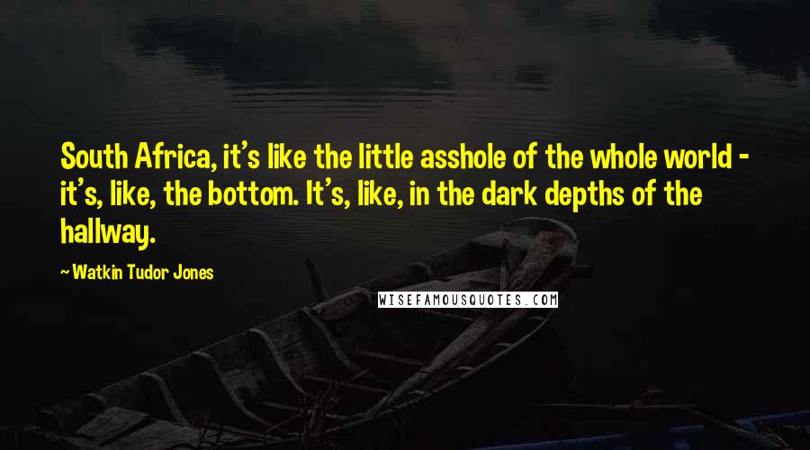 Watkin Tudor Jones Quotes: South Africa, it's like the little asshole of the whole world - it's, like, the bottom. It's, like, in the dark depths of the hallway.