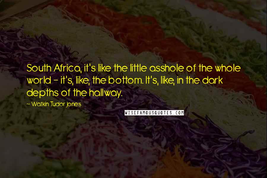Watkin Tudor Jones Quotes: South Africa, it's like the little asshole of the whole world - it's, like, the bottom. It's, like, in the dark depths of the hallway.
