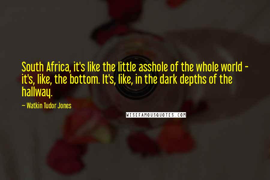 Watkin Tudor Jones Quotes: South Africa, it's like the little asshole of the whole world - it's, like, the bottom. It's, like, in the dark depths of the hallway.