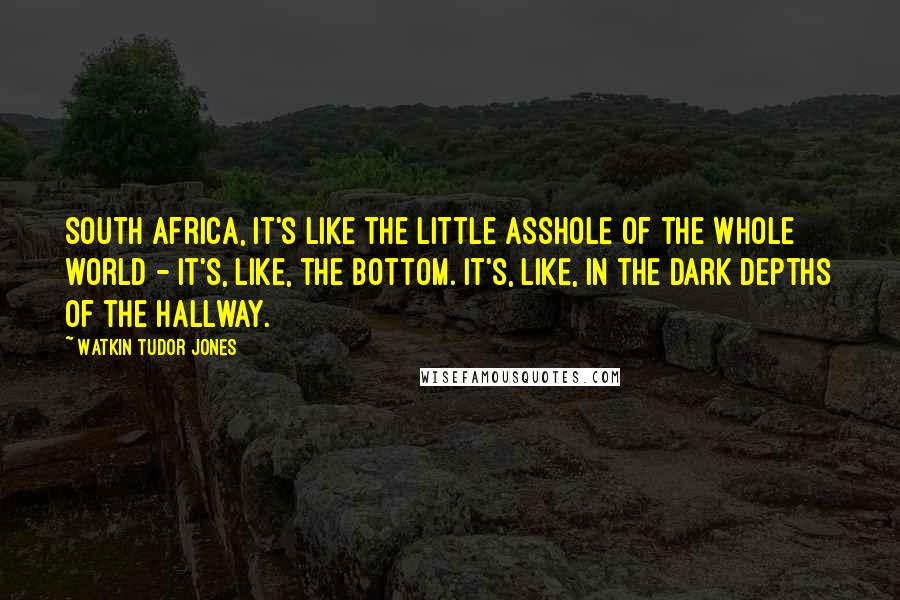 Watkin Tudor Jones Quotes: South Africa, it's like the little asshole of the whole world - it's, like, the bottom. It's, like, in the dark depths of the hallway.