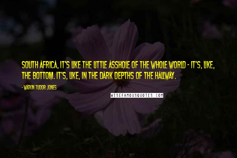 Watkin Tudor Jones Quotes: South Africa, it's like the little asshole of the whole world - it's, like, the bottom. It's, like, in the dark depths of the hallway.