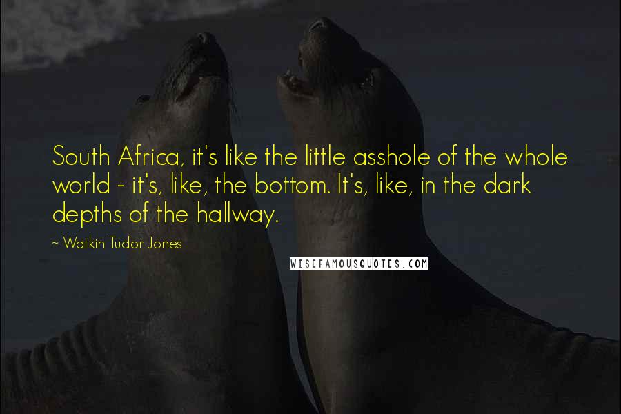 Watkin Tudor Jones Quotes: South Africa, it's like the little asshole of the whole world - it's, like, the bottom. It's, like, in the dark depths of the hallway.