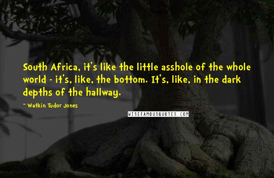 Watkin Tudor Jones Quotes: South Africa, it's like the little asshole of the whole world - it's, like, the bottom. It's, like, in the dark depths of the hallway.