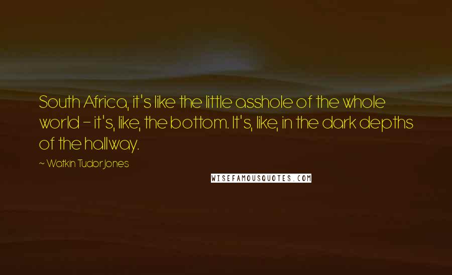 Watkin Tudor Jones Quotes: South Africa, it's like the little asshole of the whole world - it's, like, the bottom. It's, like, in the dark depths of the hallway.