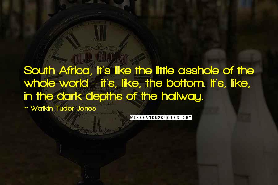 Watkin Tudor Jones Quotes: South Africa, it's like the little asshole of the whole world - it's, like, the bottom. It's, like, in the dark depths of the hallway.