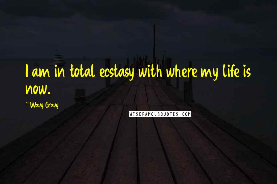 Wavy Gravy Quotes: I am in total ecstasy with where my life is now.