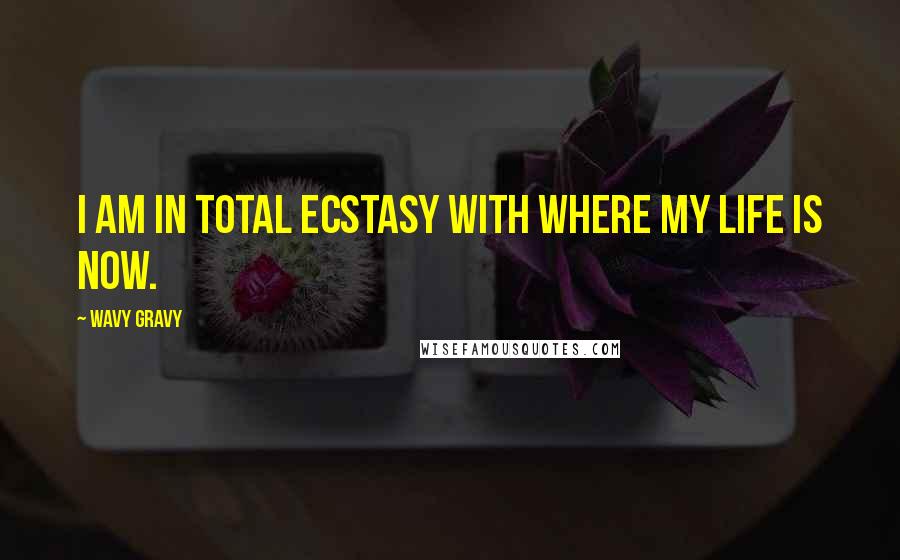 Wavy Gravy Quotes: I am in total ecstasy with where my life is now.