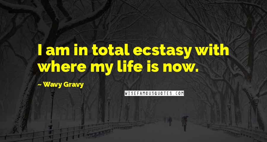 Wavy Gravy Quotes: I am in total ecstasy with where my life is now.