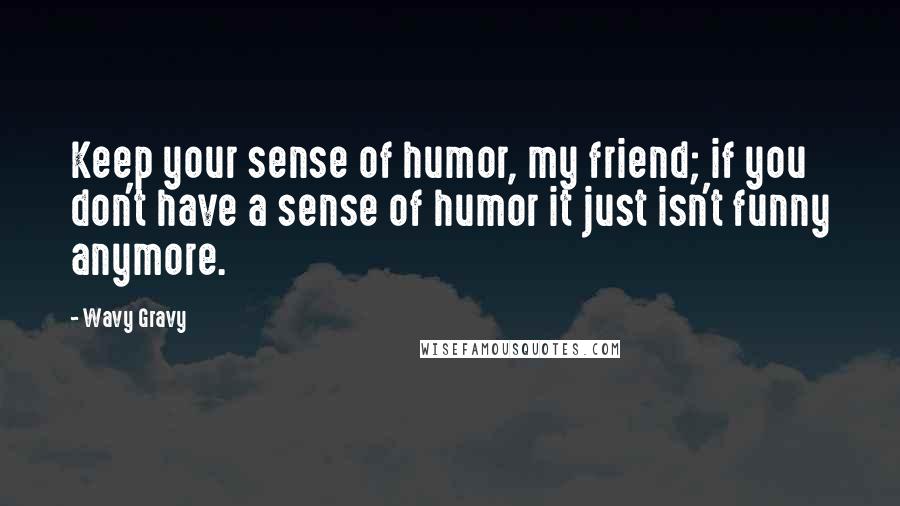 Wavy Gravy Quotes: Keep your sense of humor, my friend; if you don't have a sense of humor it just isn't funny anymore.