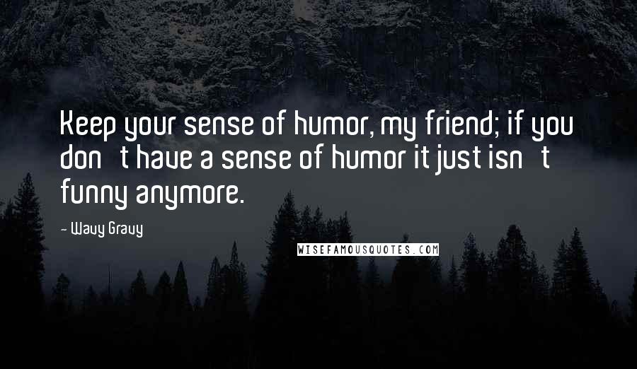 Wavy Gravy Quotes: Keep your sense of humor, my friend; if you don't have a sense of humor it just isn't funny anymore.