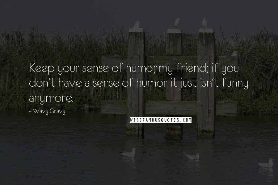 Wavy Gravy Quotes: Keep your sense of humor, my friend; if you don't have a sense of humor it just isn't funny anymore.