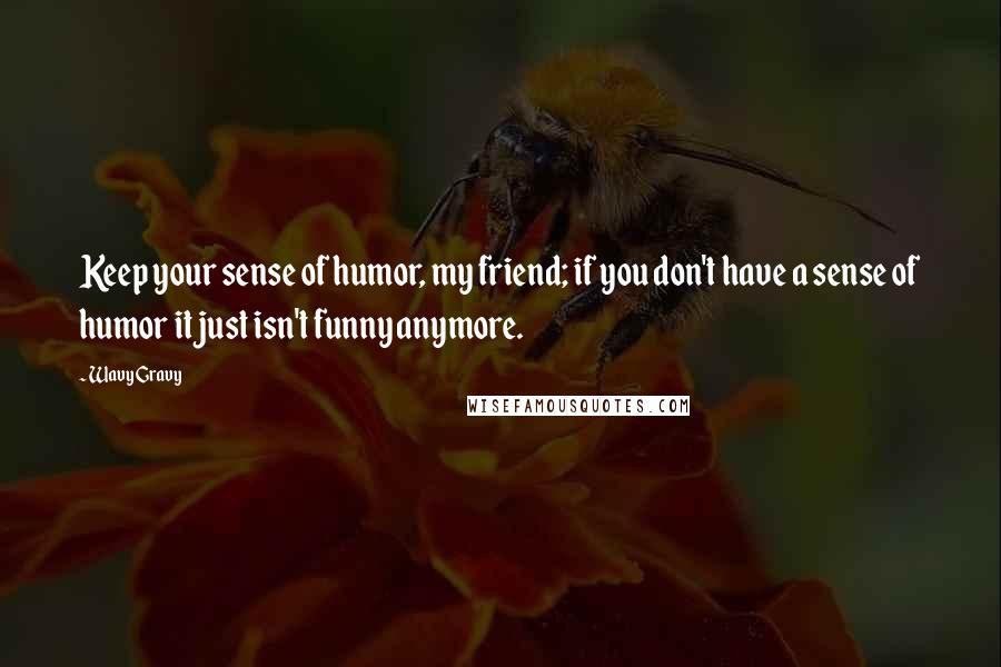 Wavy Gravy Quotes: Keep your sense of humor, my friend; if you don't have a sense of humor it just isn't funny anymore.