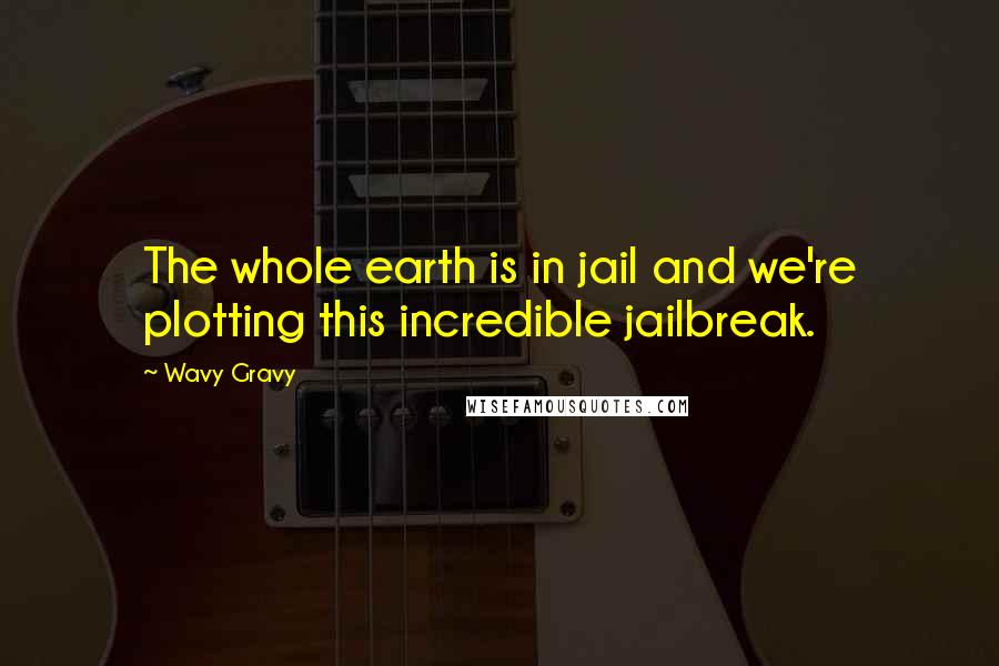 Wavy Gravy Quotes: The whole earth is in jail and we're plotting this incredible jailbreak.