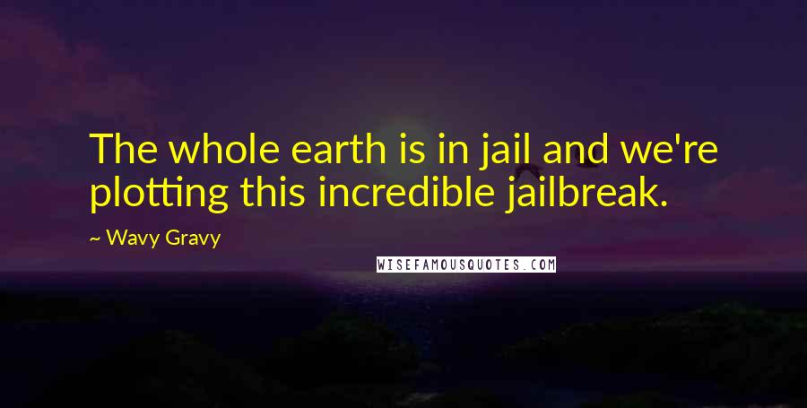 Wavy Gravy Quotes: The whole earth is in jail and we're plotting this incredible jailbreak.