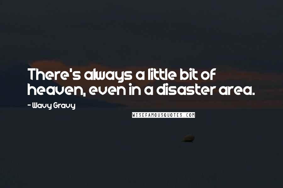 Wavy Gravy Quotes: There's always a little bit of heaven, even in a disaster area.