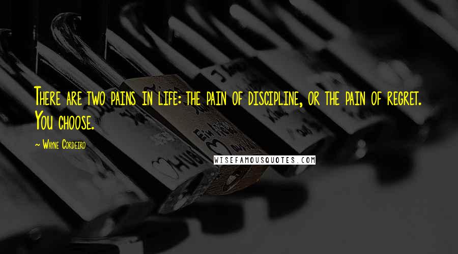 Wayne Cordeiro Quotes: There are two pains in life: the pain of discipline, or the pain of regret. You choose.