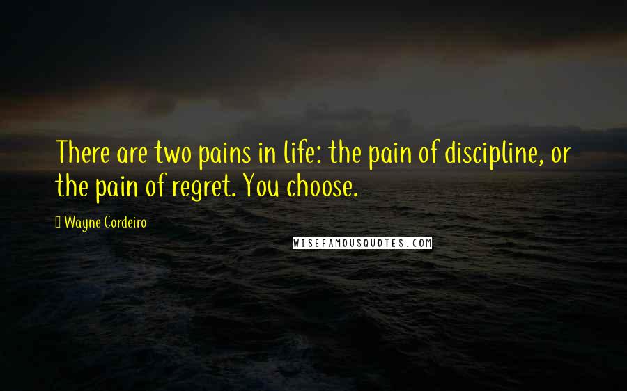 Wayne Cordeiro Quotes: There are two pains in life: the pain of discipline, or the pain of regret. You choose.