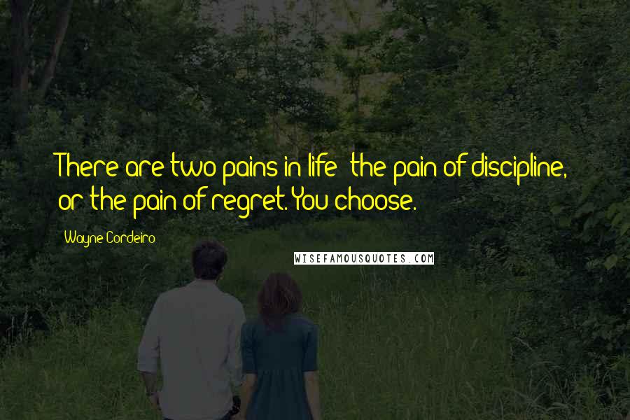 Wayne Cordeiro Quotes: There are two pains in life: the pain of discipline, or the pain of regret. You choose.