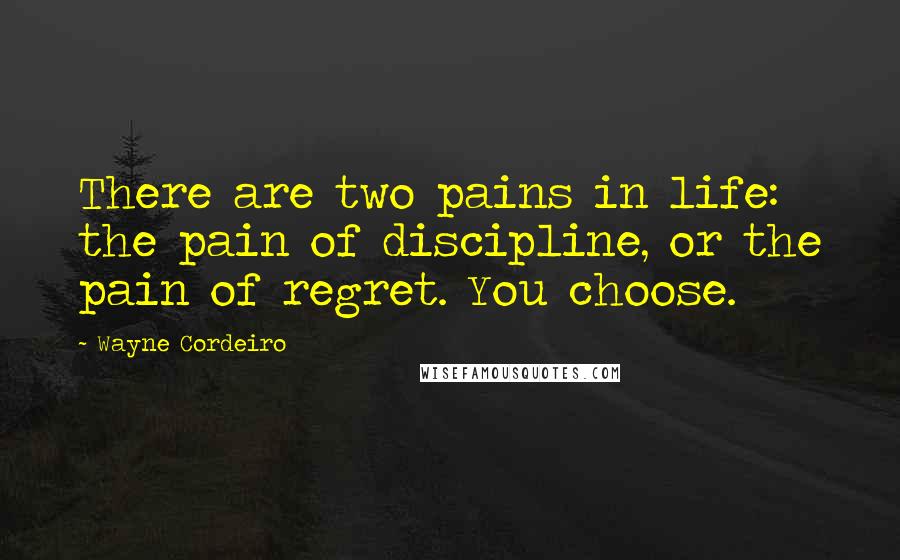 Wayne Cordeiro Quotes: There are two pains in life: the pain of discipline, or the pain of regret. You choose.